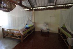 two 5' double beds with mosquito nets