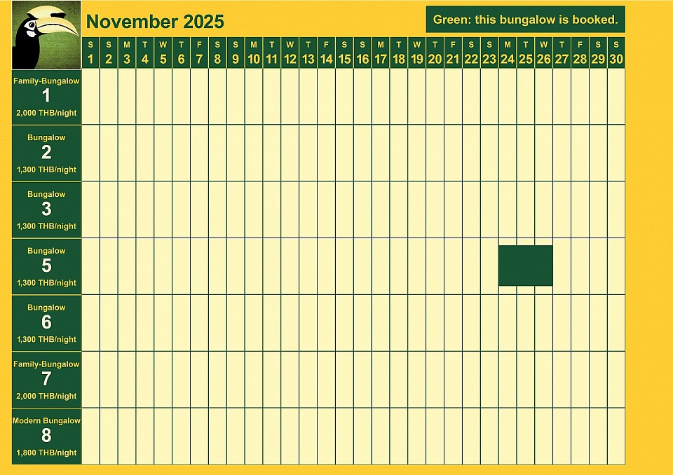 bookings November 2025