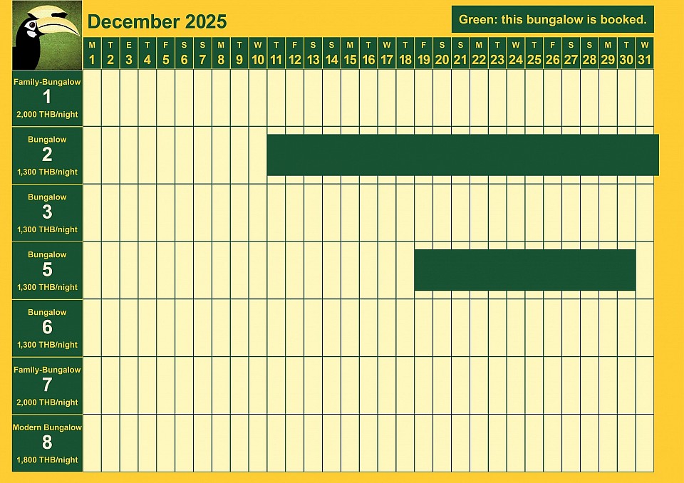 bookings December 2025