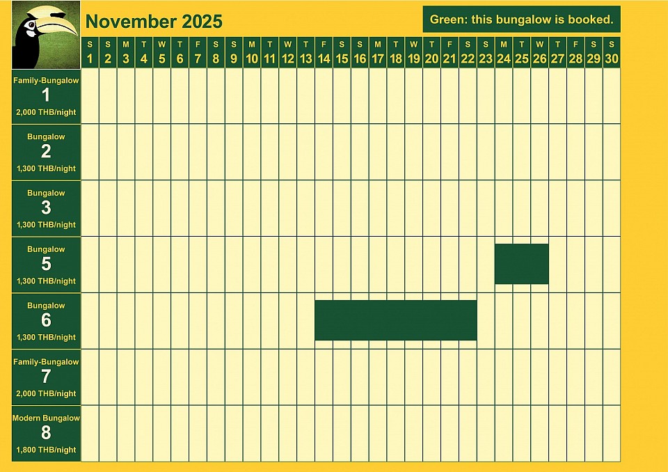 bookings November 2025