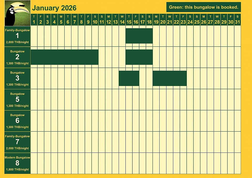 bookings January 2026