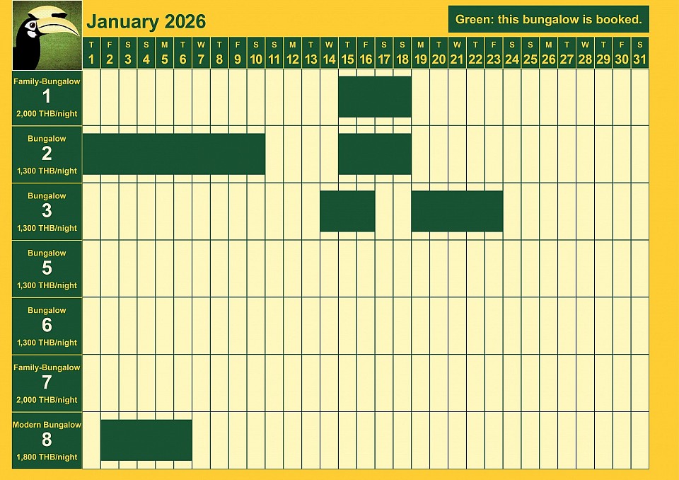 bookings January 2026