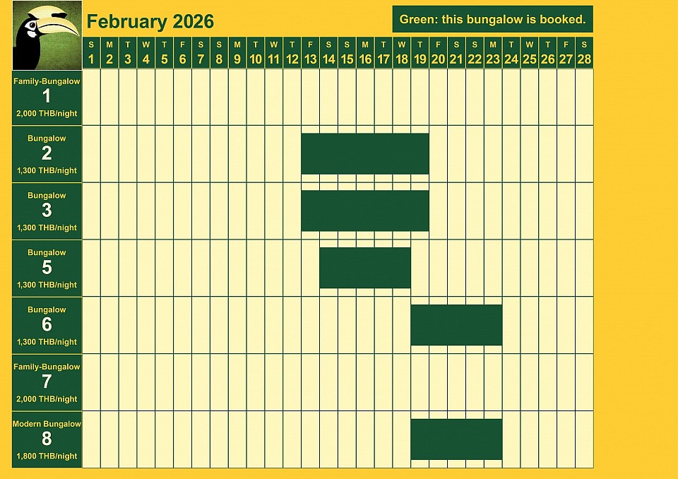 bookings February 2026