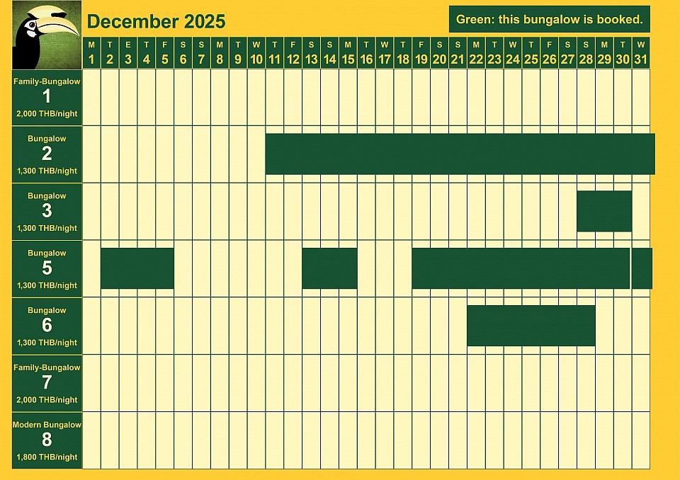 bookings December 2025