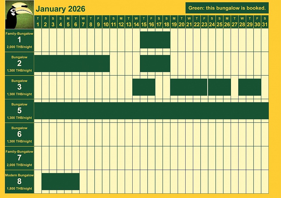 bookings January 2026