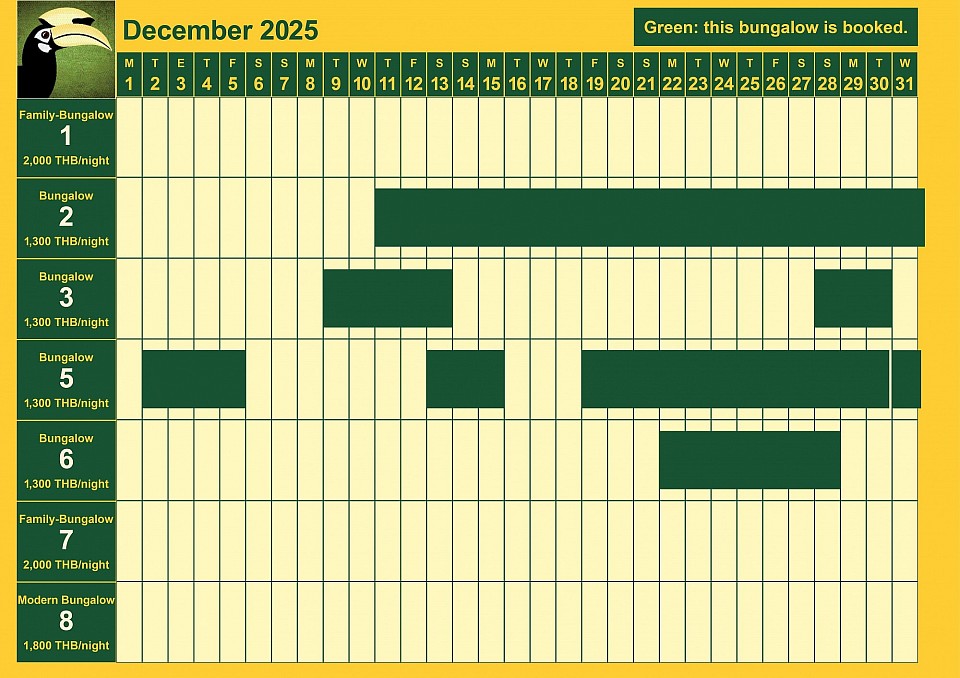 bookings December 2025