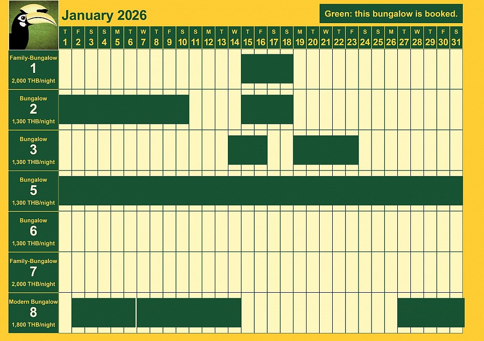 bookings January 2026