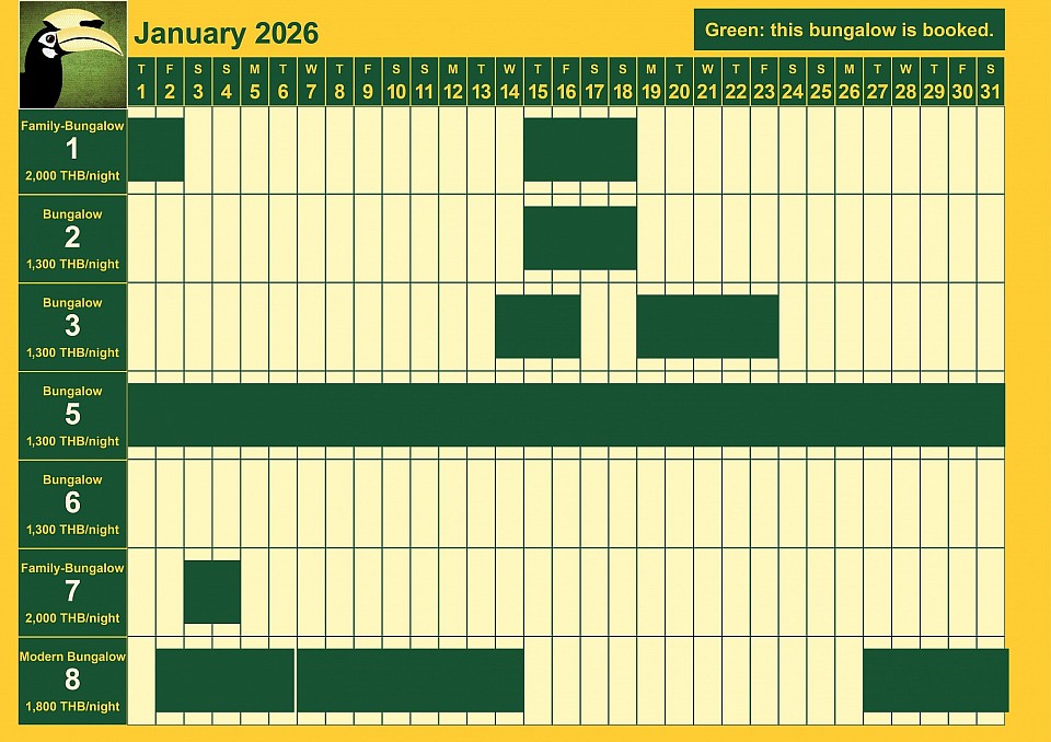 bookings January 2026