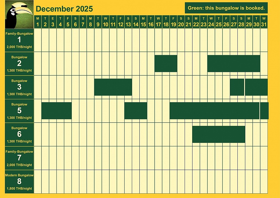 bookings December 2025
