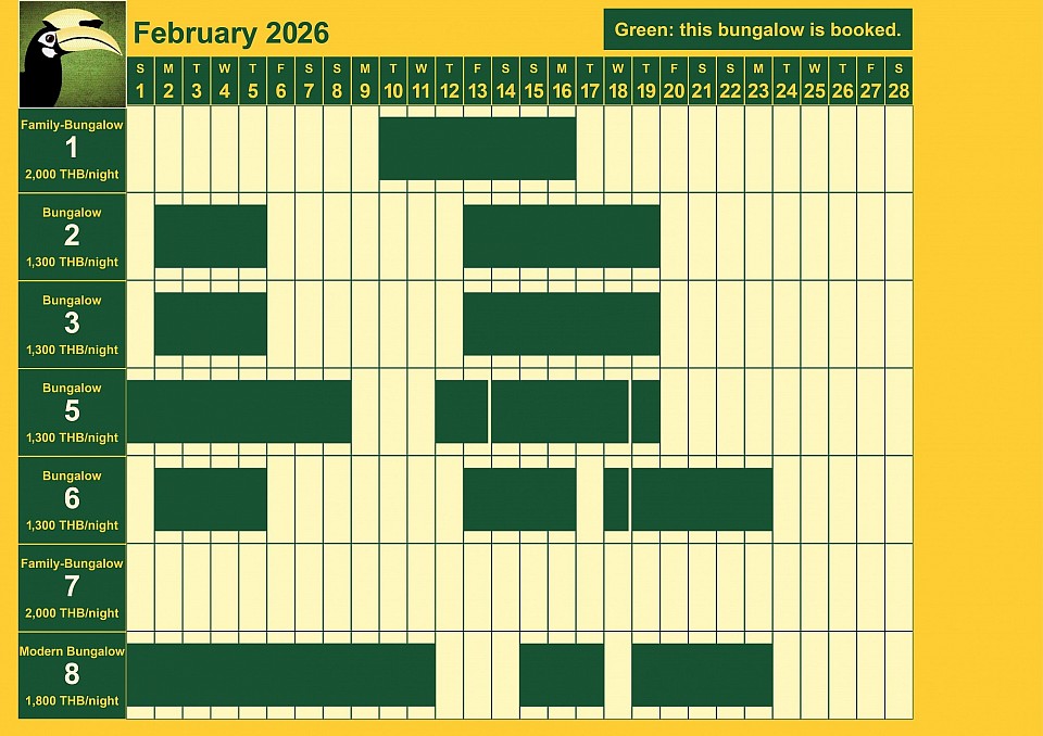 bookings February 2026